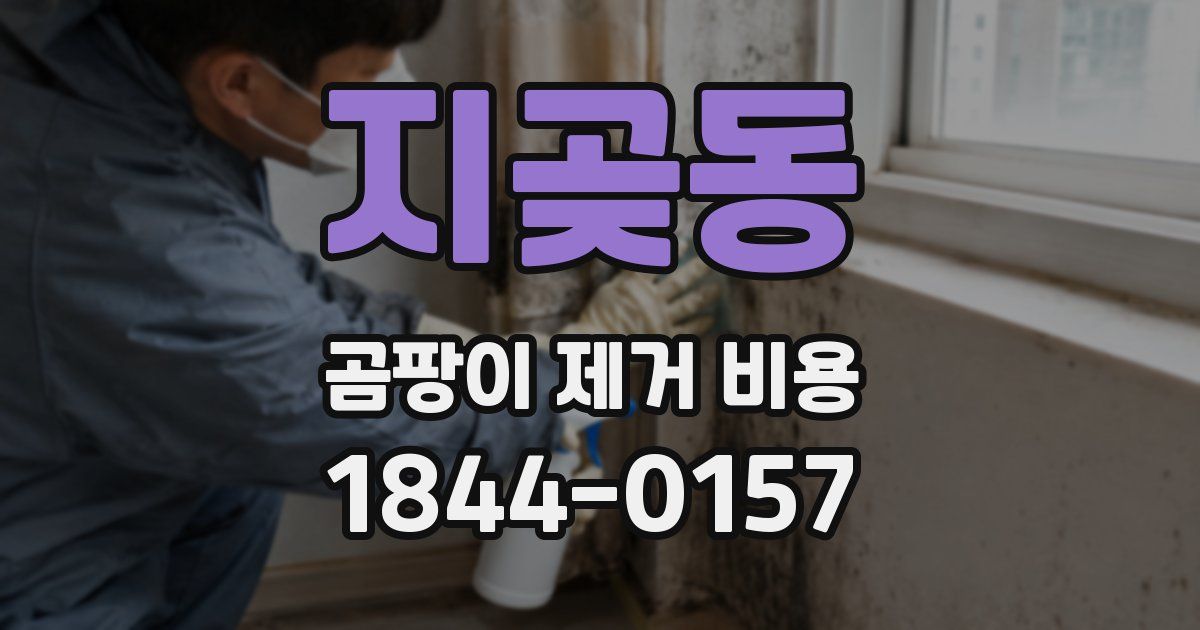 지곶동 곰팡이 제거 비용