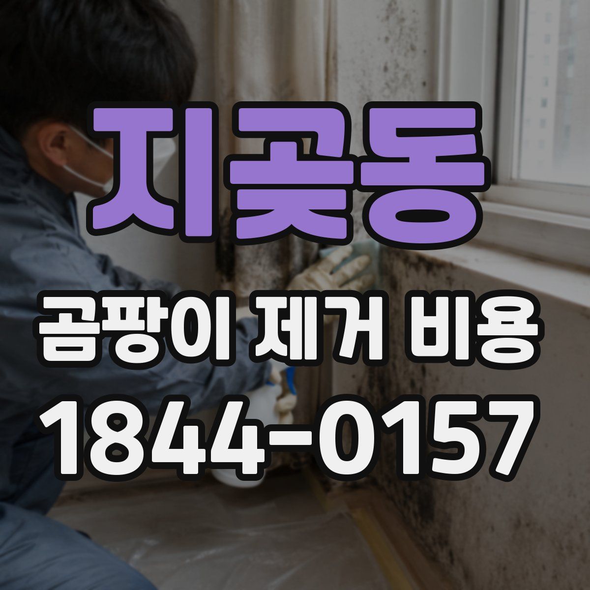 지곶동 곰팡이 제거 비용
