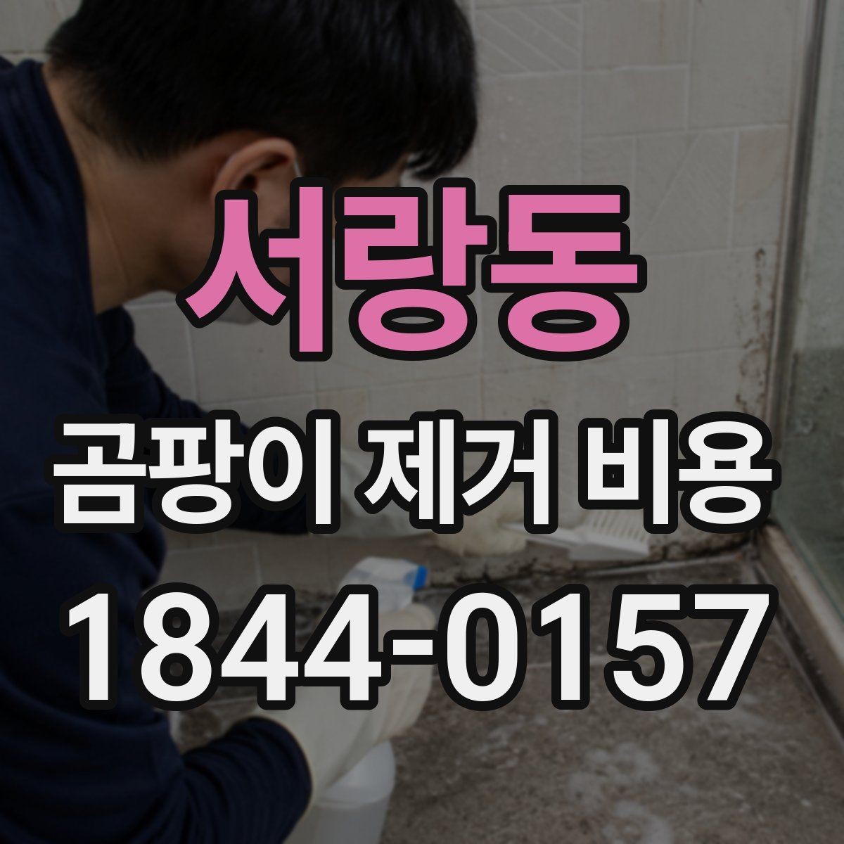서랑동 곰팡이 제거 비용 업체 후기를 볼 때 주의할 점
