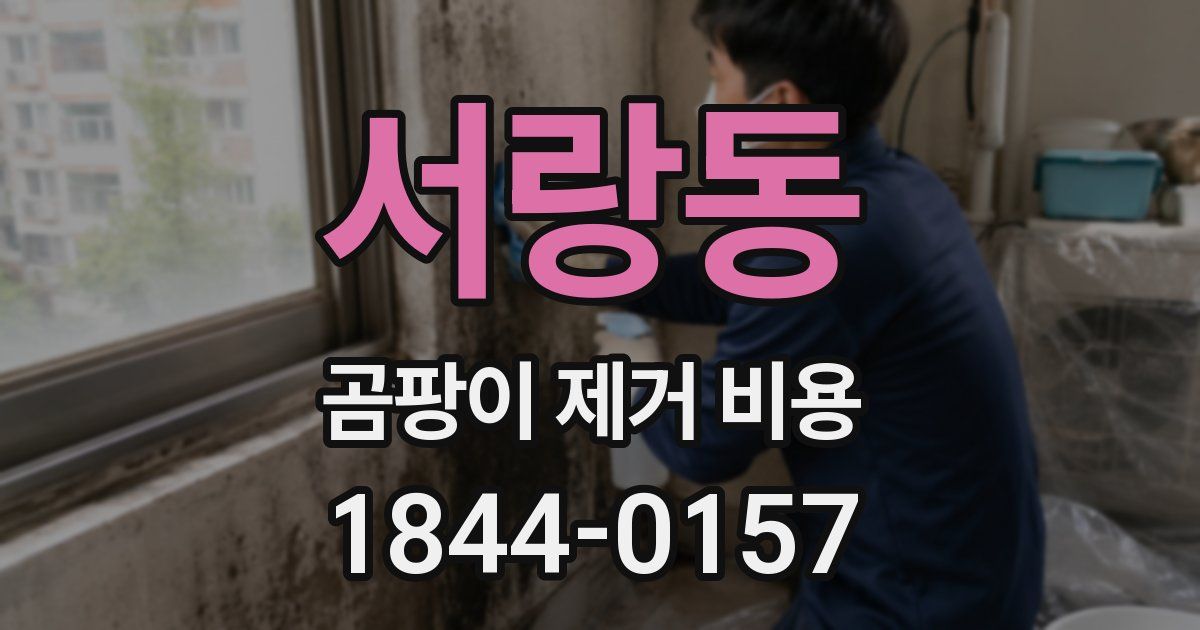 서랑동 곰팡이 제거 비용