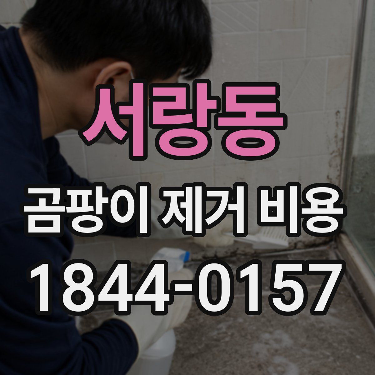 서랑동 곰팡이 제거 비용