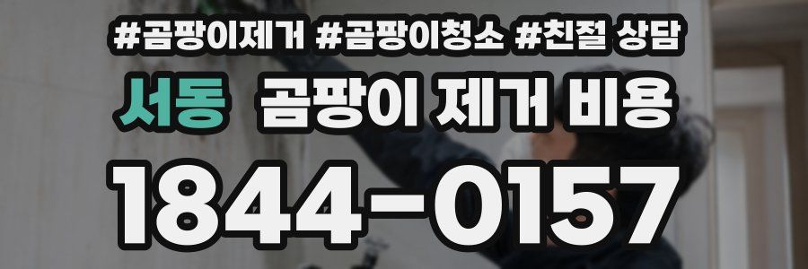 서동 곰팡이 제거 비용
