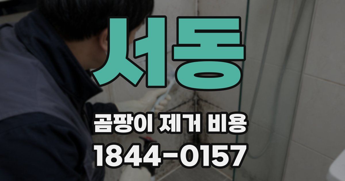 서동 곰팡이 제거 비용