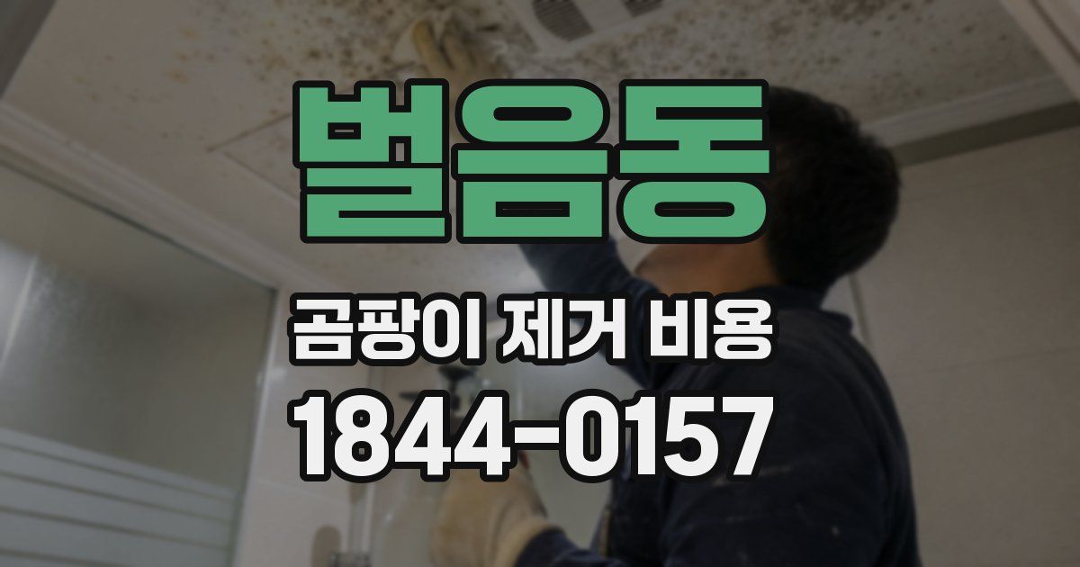 벌음동 곰팡이 제거 비용