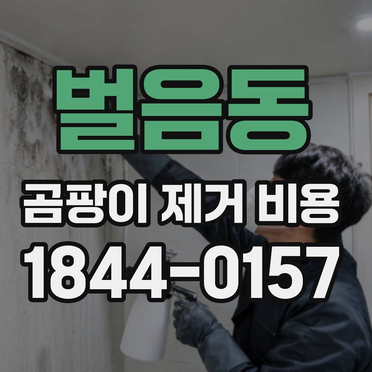 벌음동 곰팡이 제거 비용