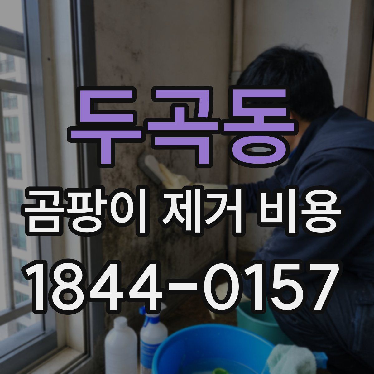 두곡동 곰팡이 제거 비용