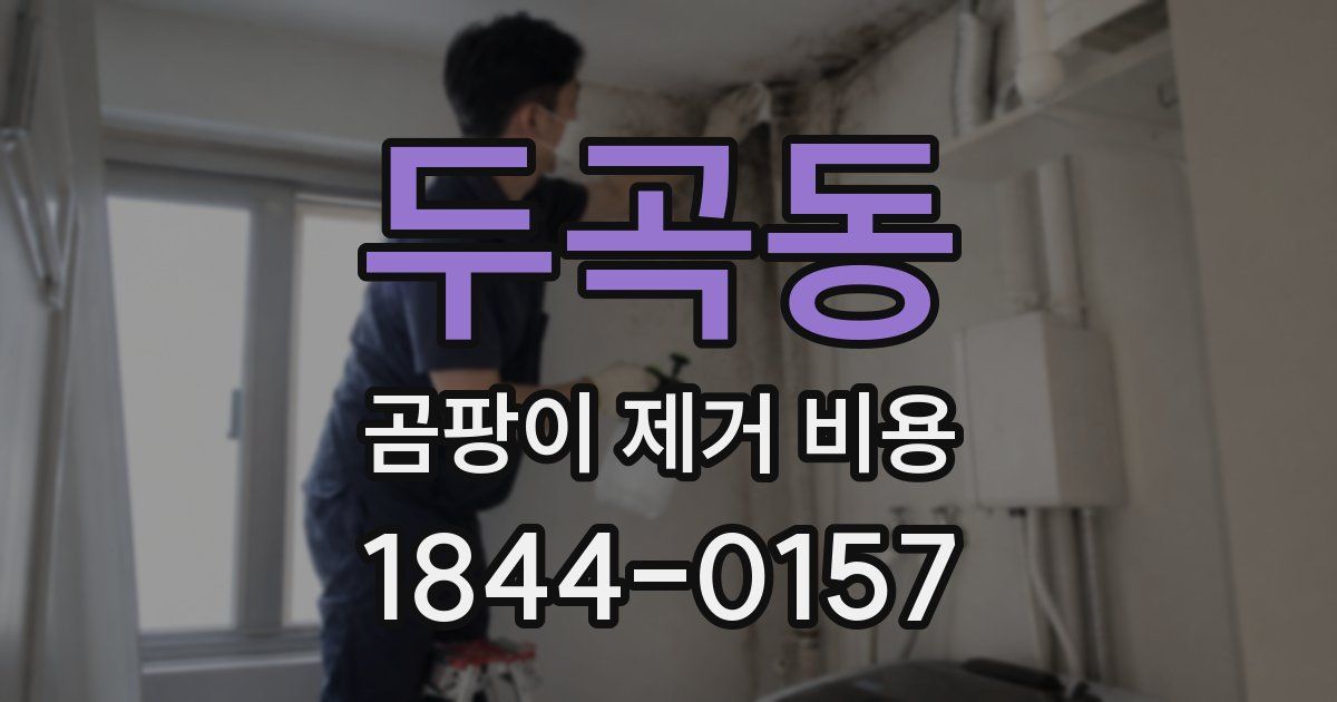 두곡동 곰팡이 제거 비용