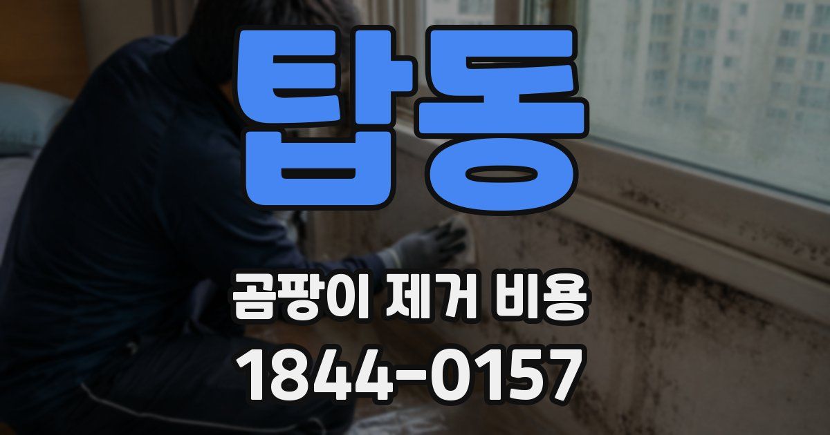 탑동 곰팡이 제거 비용