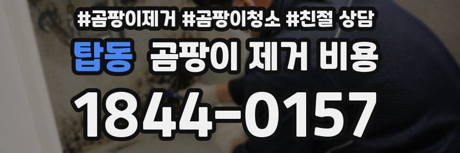 탑동 곰팡이 제거 비용