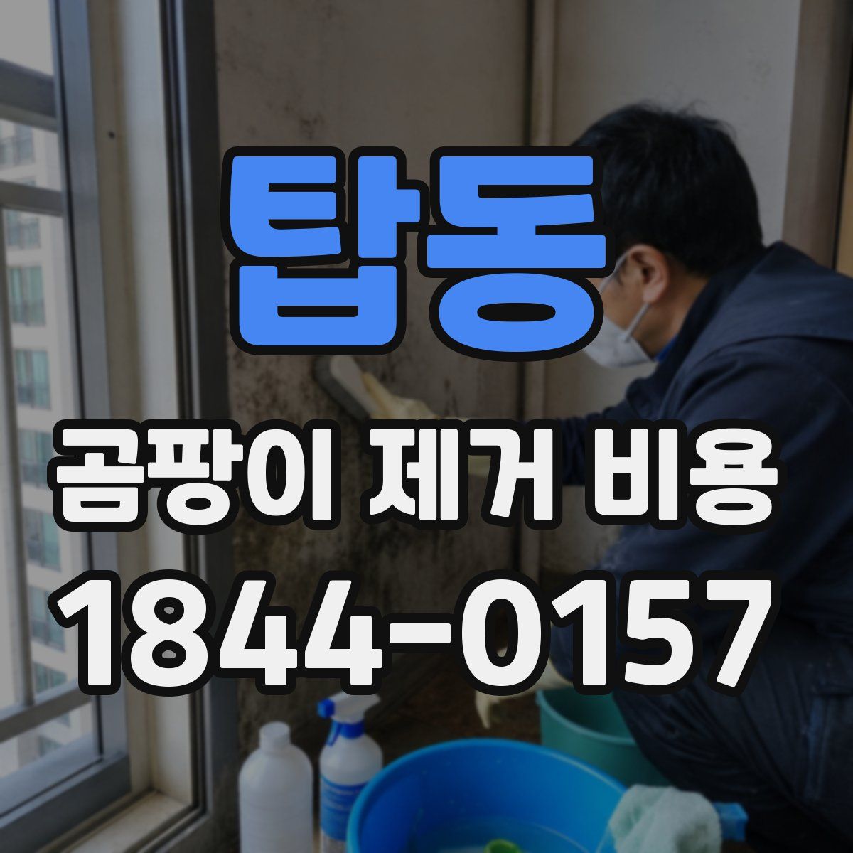 탑동 곰팡이 제거 비용