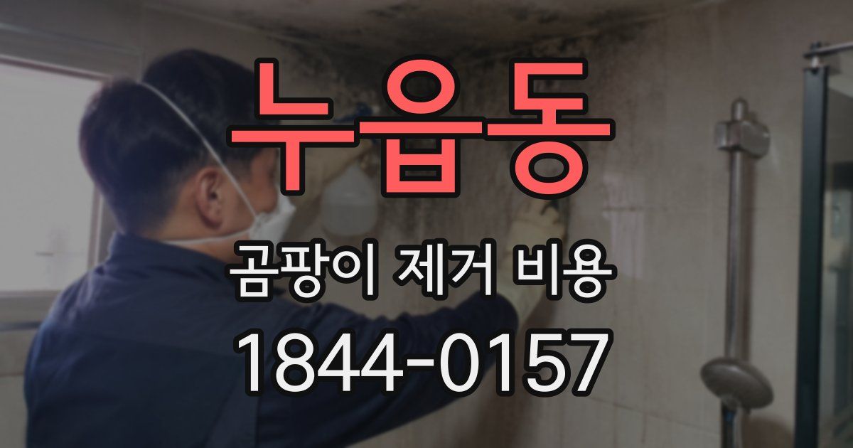 누읍동 곰팡이 제거 비용
