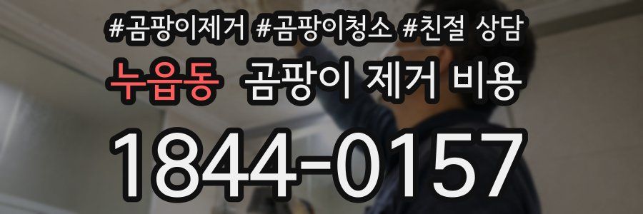 누읍동 곰팡이 제거 비용