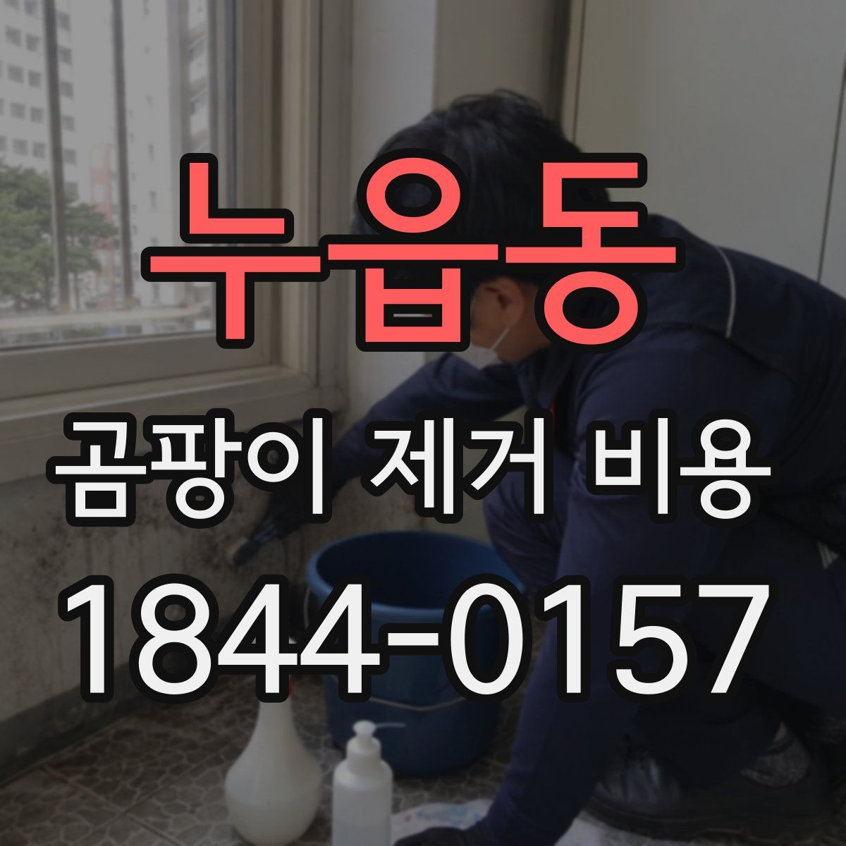 누읍동 곰팡이 제거 비용