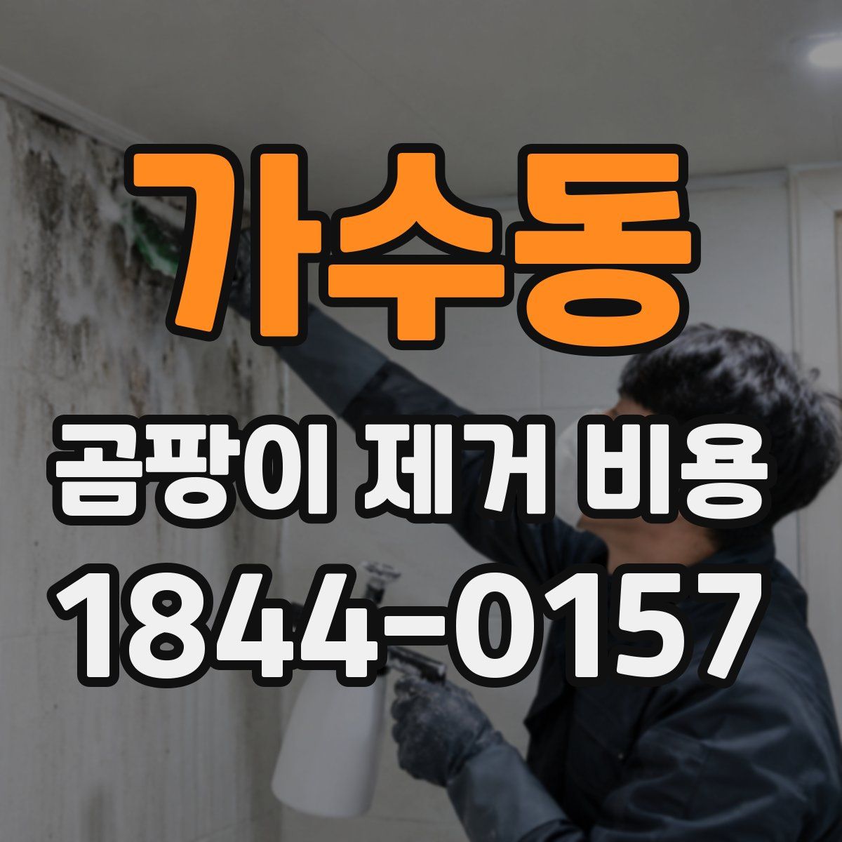 가수동 곰팡이 제거 비용