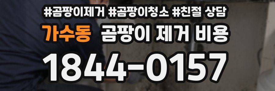 가수동 곰팡이 제거 비용