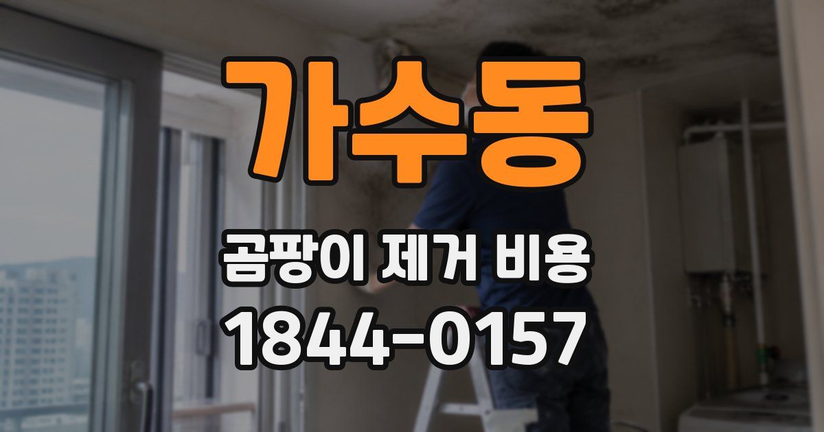 가수동 곰팡이 제거 비용