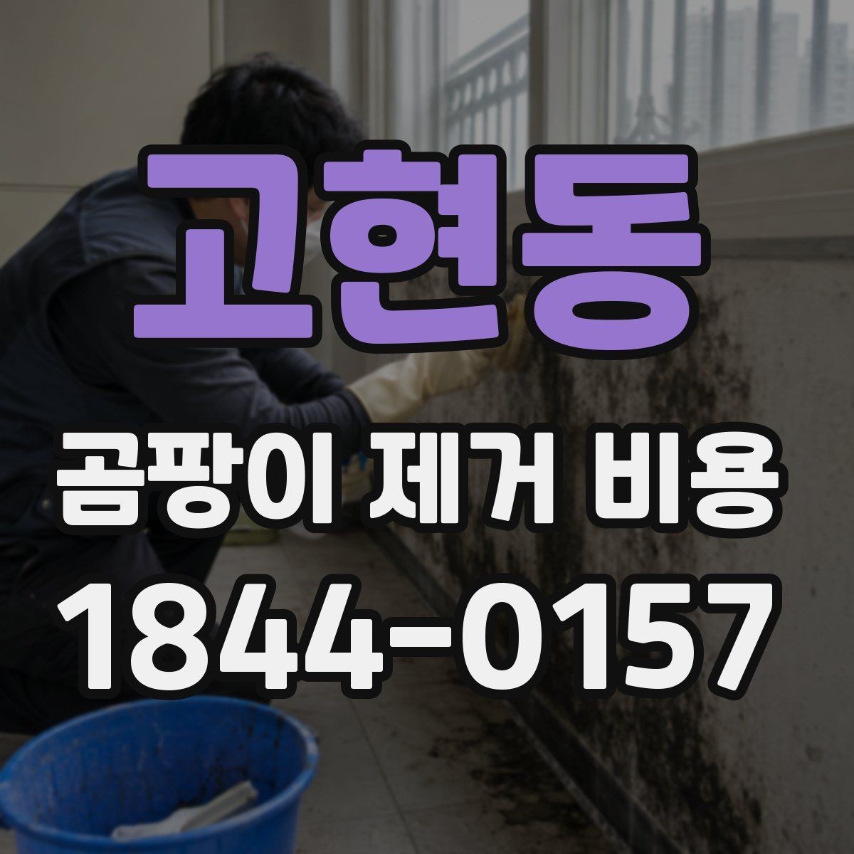 고현동 곰팡이 제거 비용 문의할 때 자주 묻는 질문