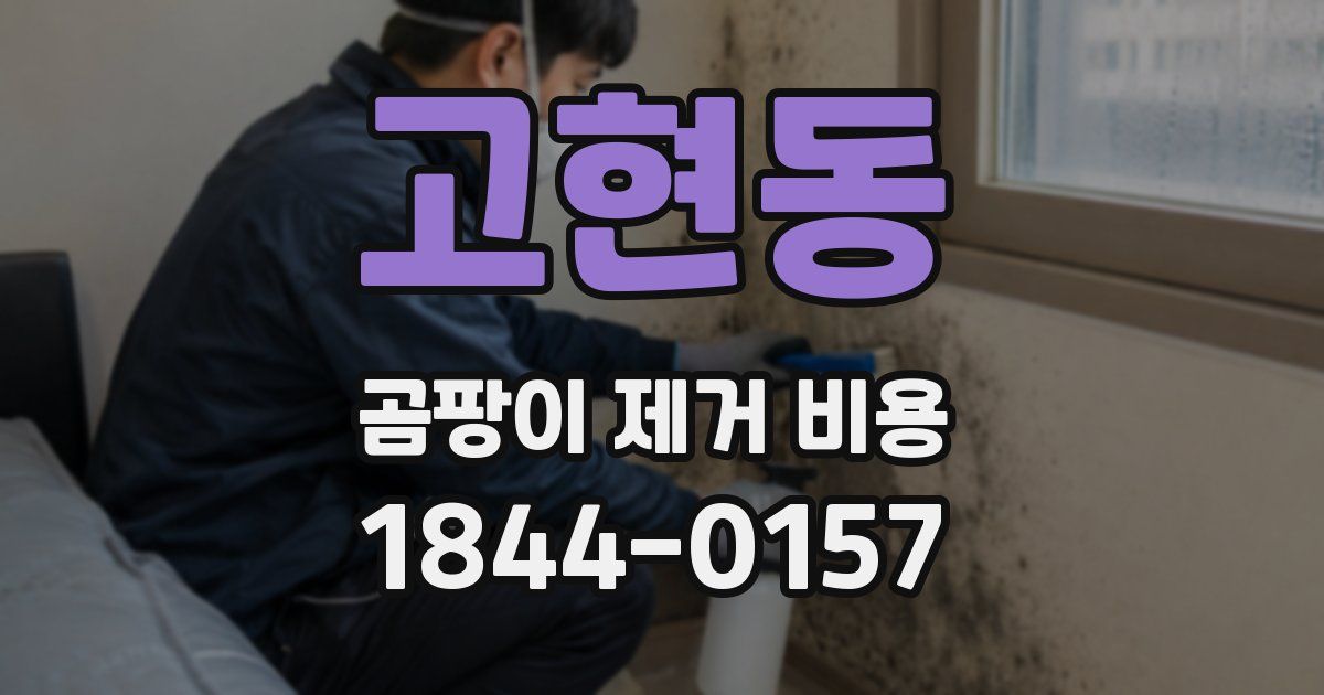 고현동 곰팡이 제거 비용