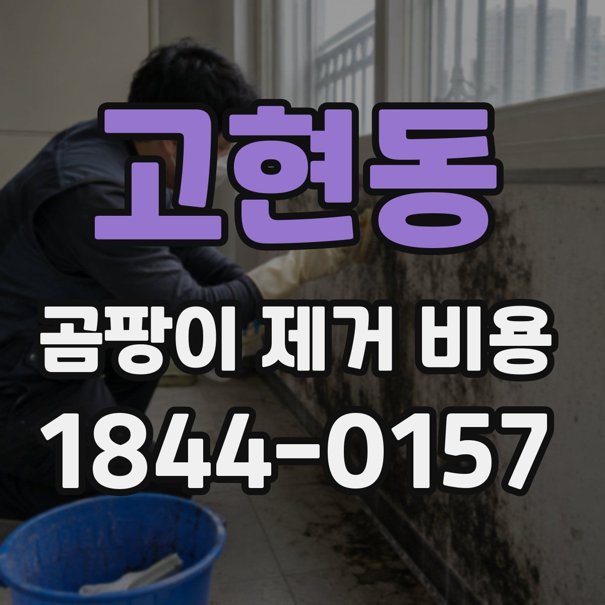 고현동 곰팡이 제거 비용