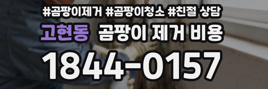 고현동 곰팡이 제거 비용