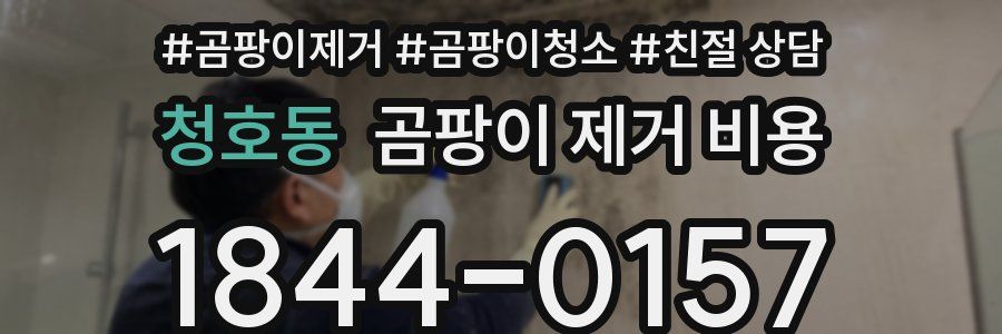 청호동 곰팡이 제거 비용