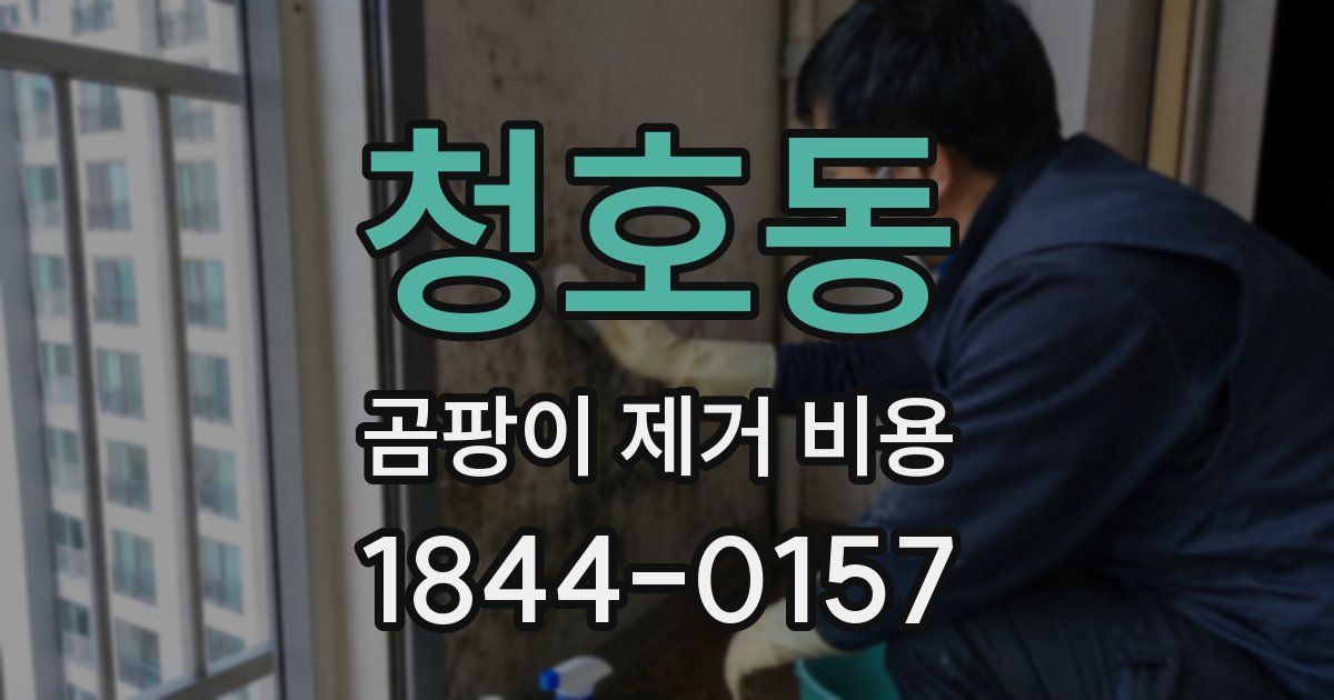 청호동 곰팡이 제거 비용