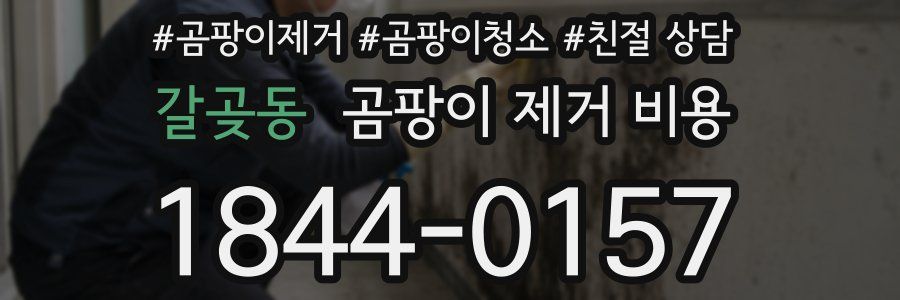 갈곶동 곰팡이 제거 비용