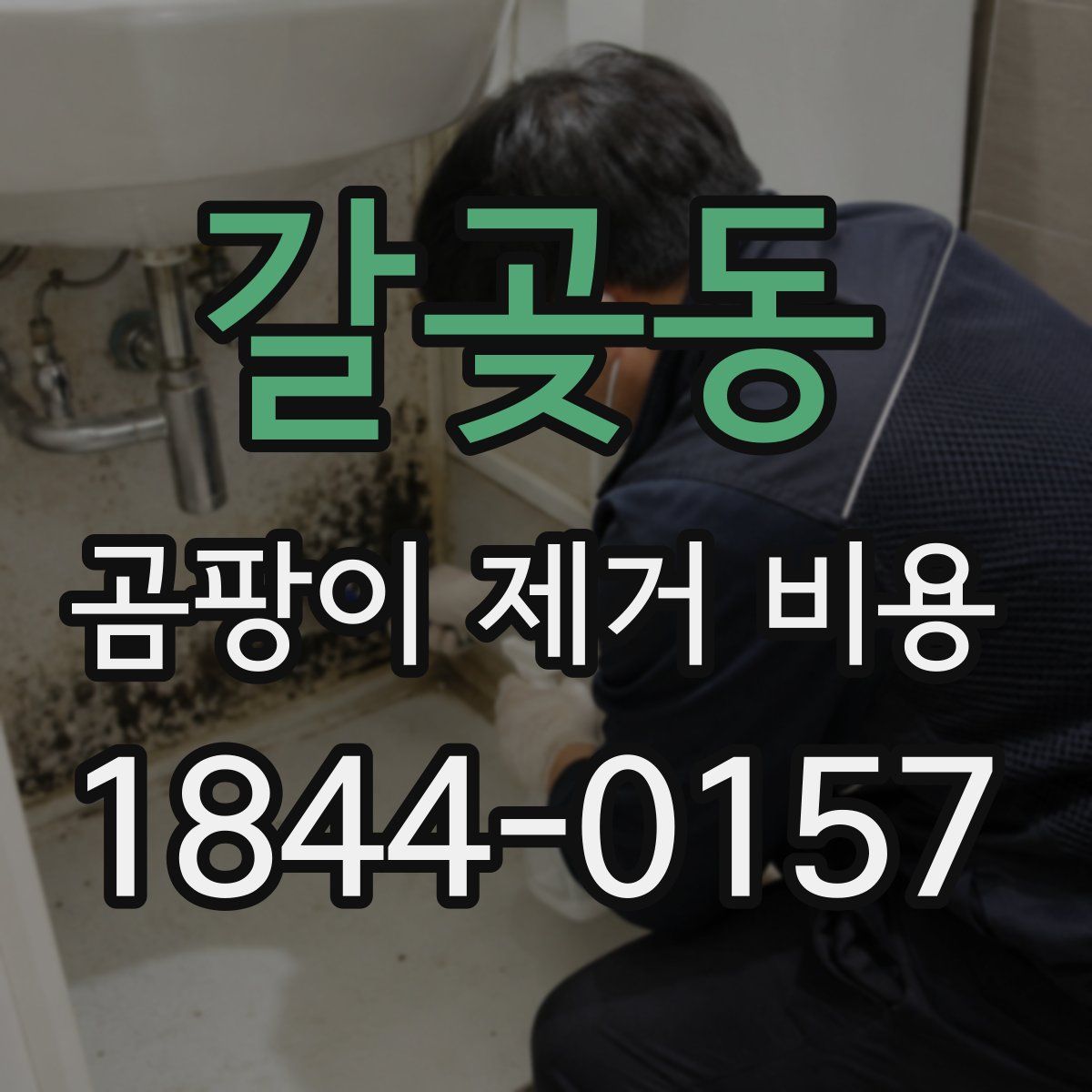 갈곶동 곰팡이 제거 비용