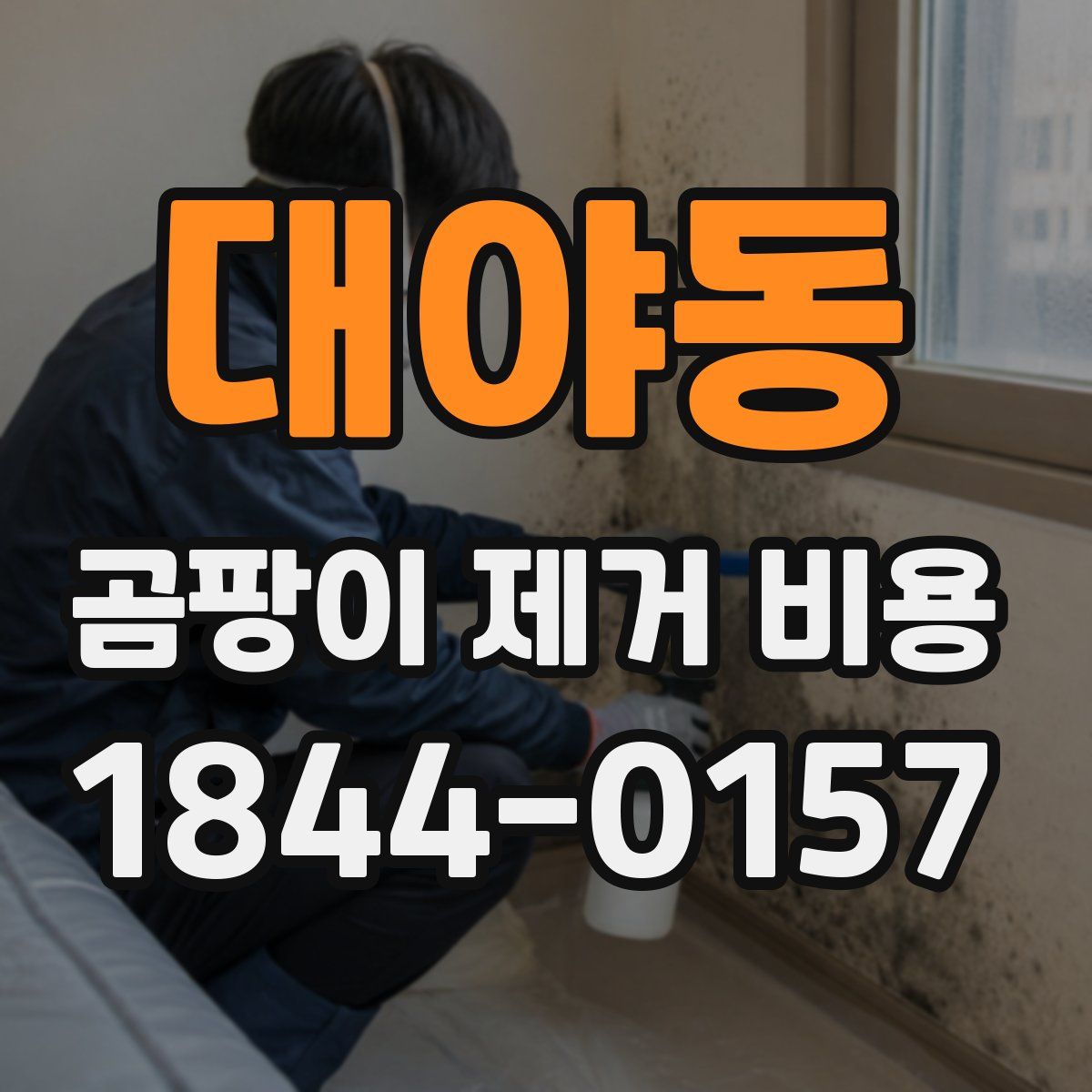 대야동 곰팡이 제거 비용