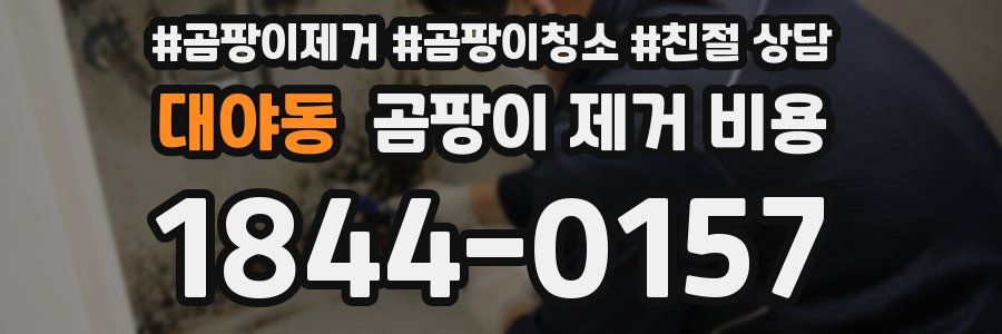 대야동 곰팡이 제거 비용