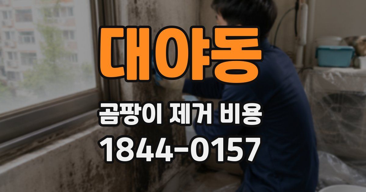 대야동 곰팡이 제거 비용