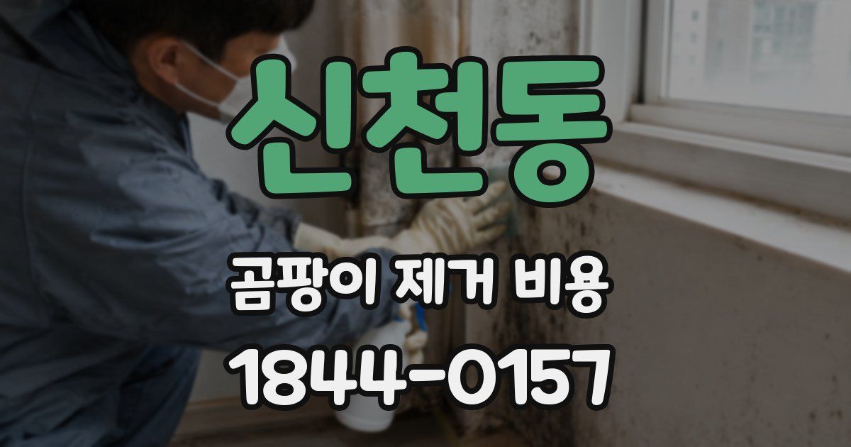 신천동 곰팡이 제거 비용