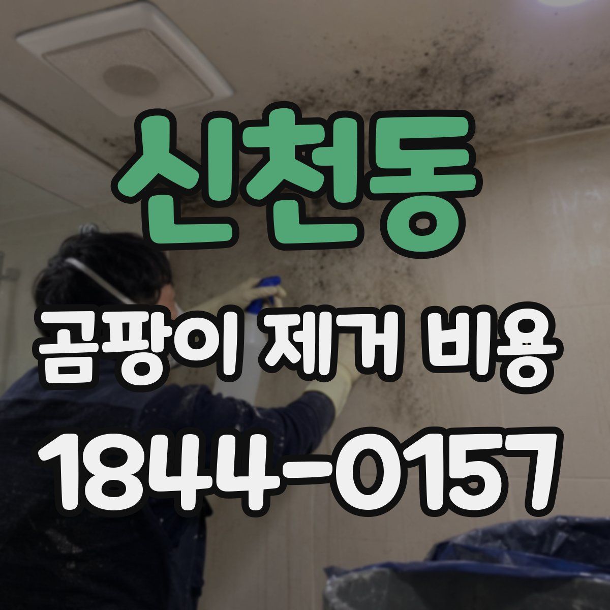 신천동 곰팡이 제거 비용