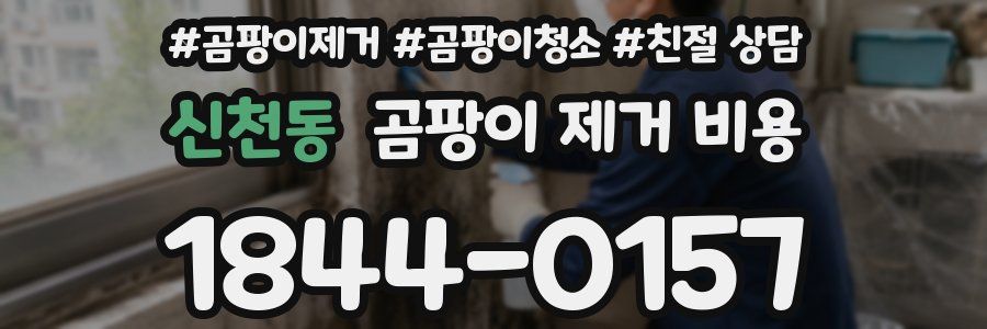 신천동 곰팡이 제거 비용