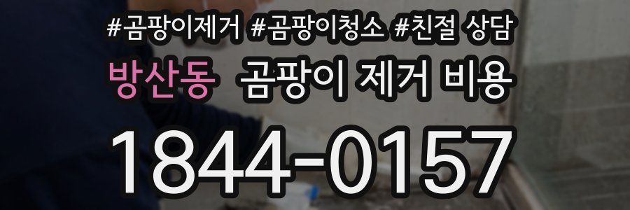방산동 곰팡이 제거 비용