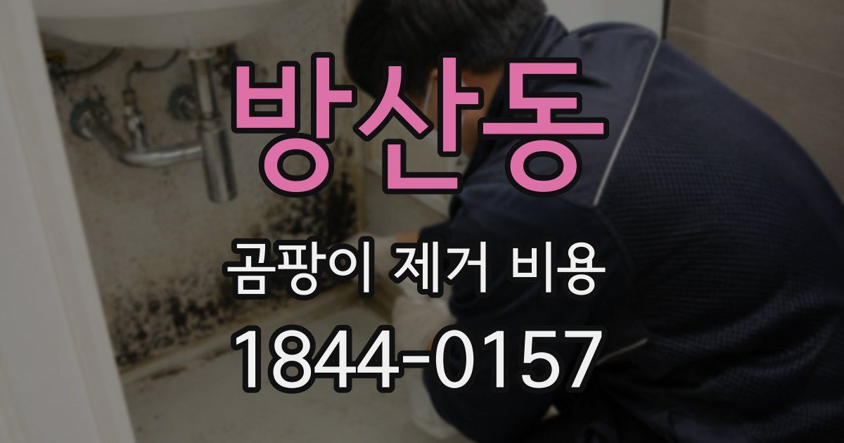 방산동 곰팡이 제거 비용