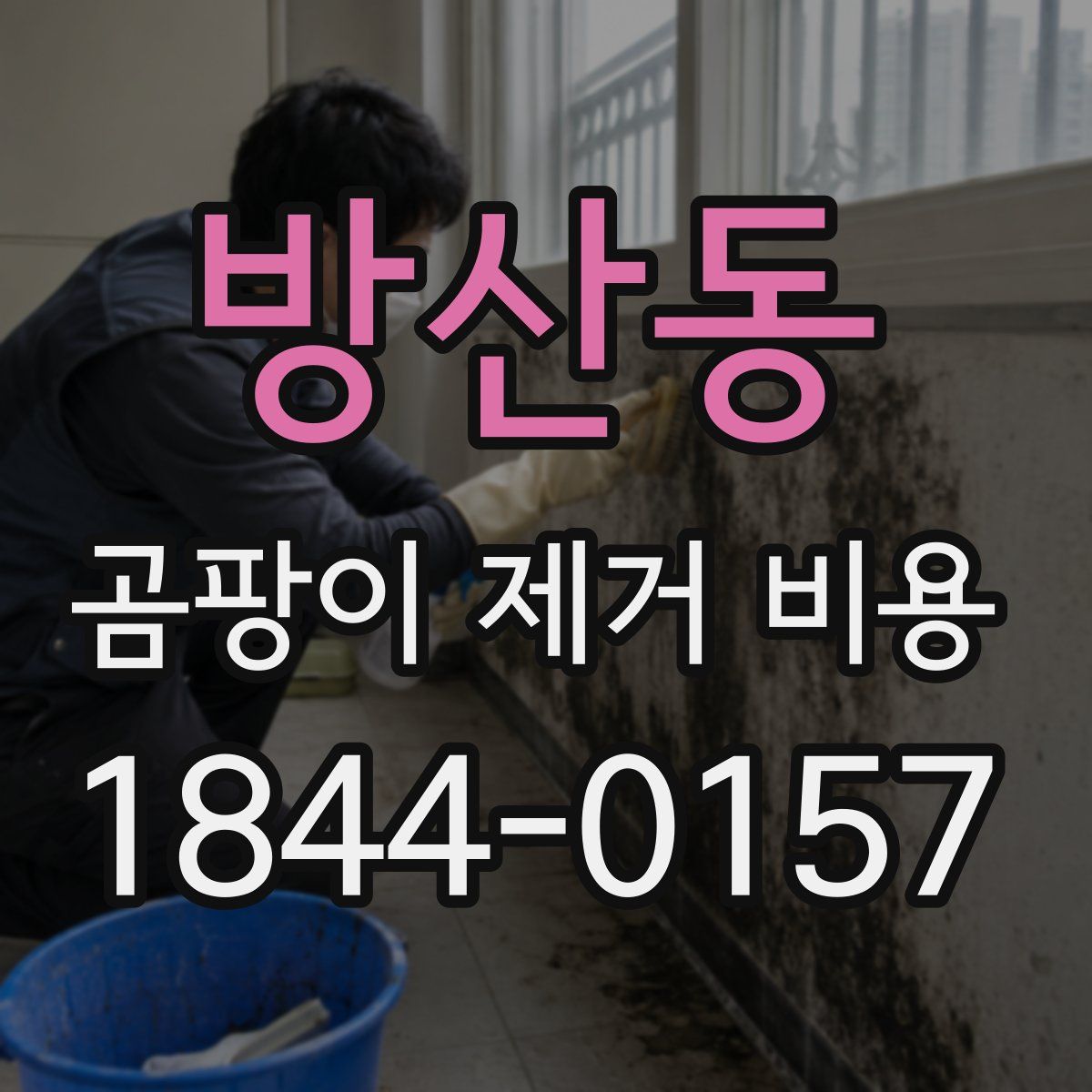 방산동 곰팡이 제거 비용