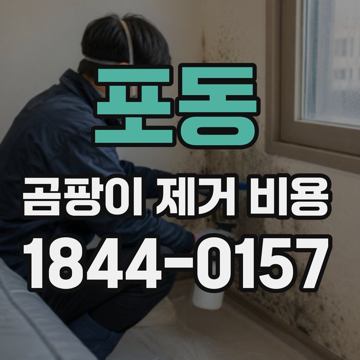 포동 곰팡이 제거 비용
