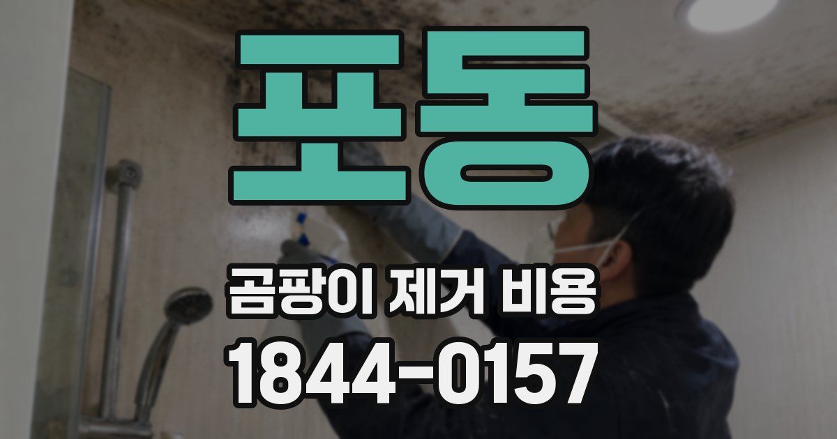 포동 곰팡이 제거 비용