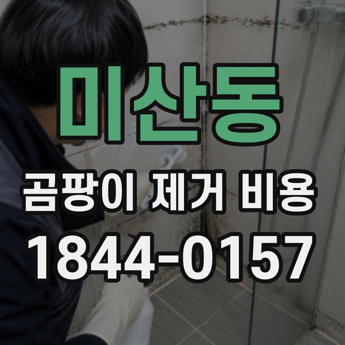 미산동 곰팡이 제거 비용