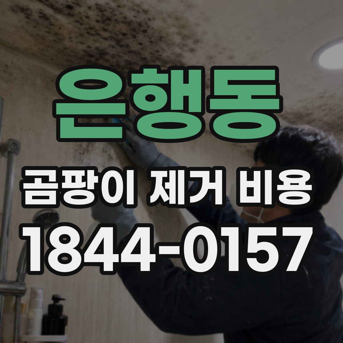 은행동 곰팡이 제거 비용