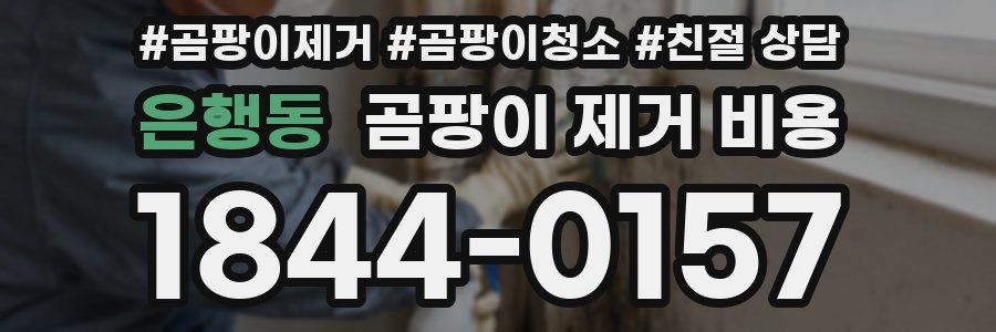 은행동 곰팡이 제거 비용