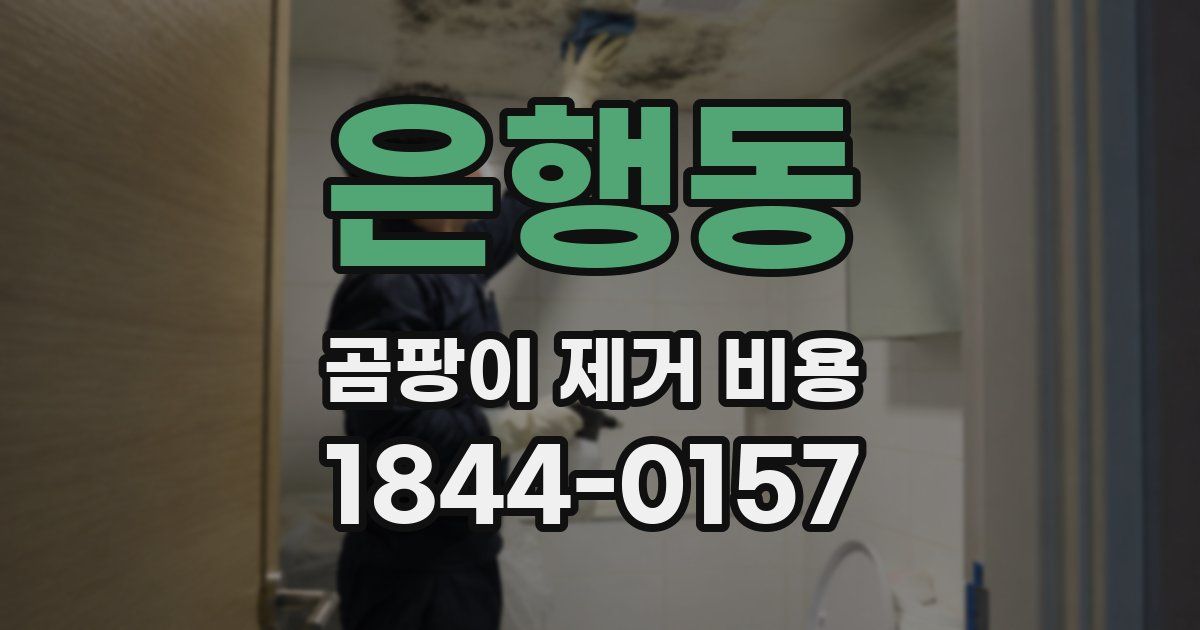 은행동 곰팡이 제거 비용