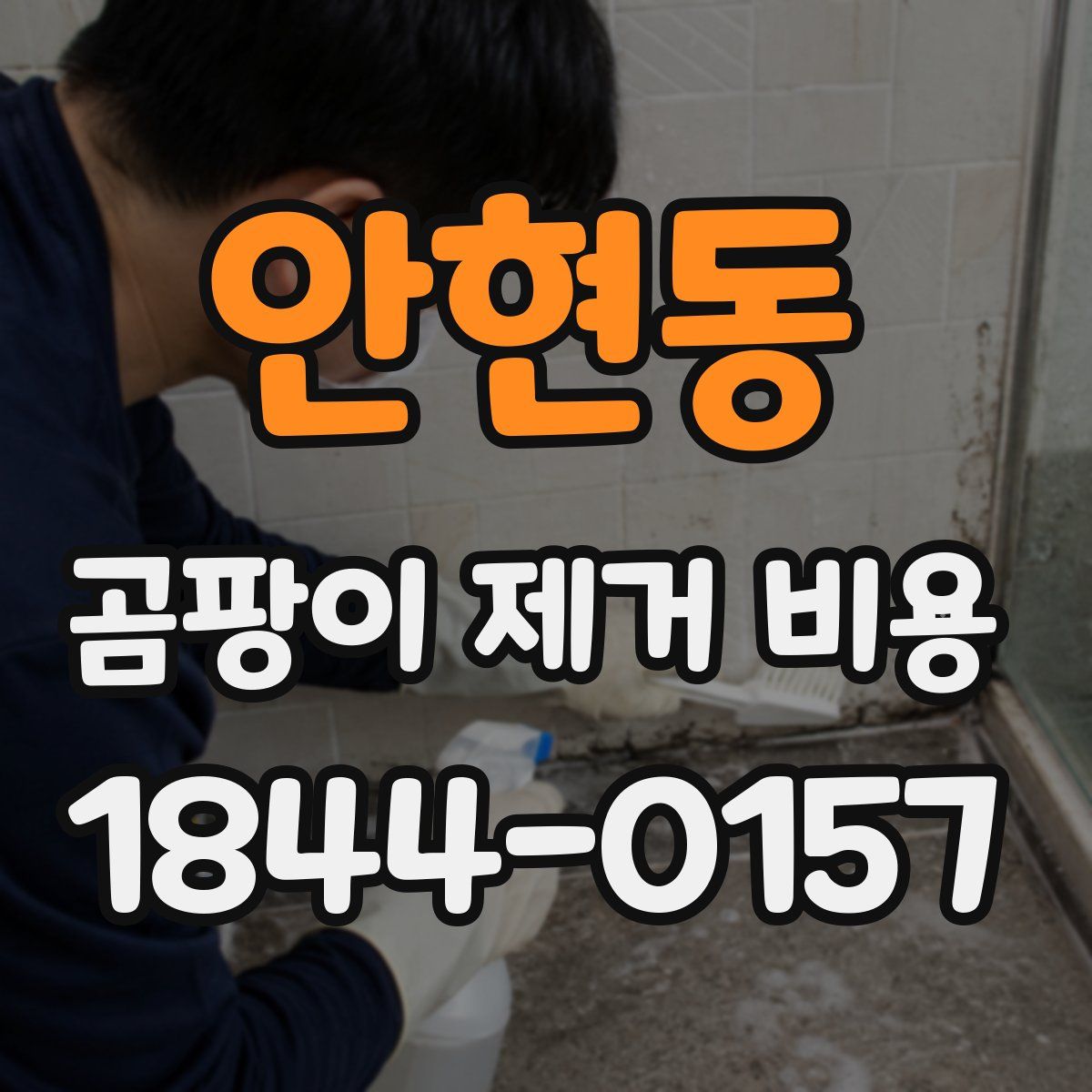 안현동 곰팡이 제거 비용