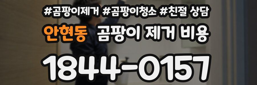 안현동 곰팡이 제거 비용