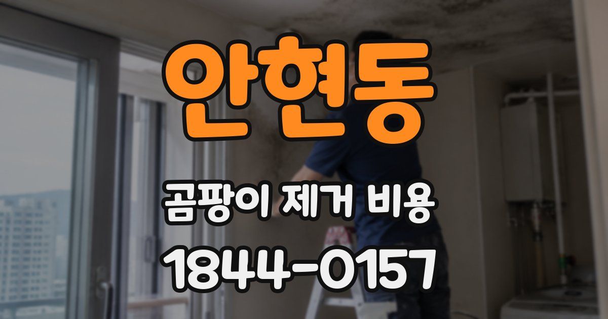 안현동 곰팡이 제거 비용
