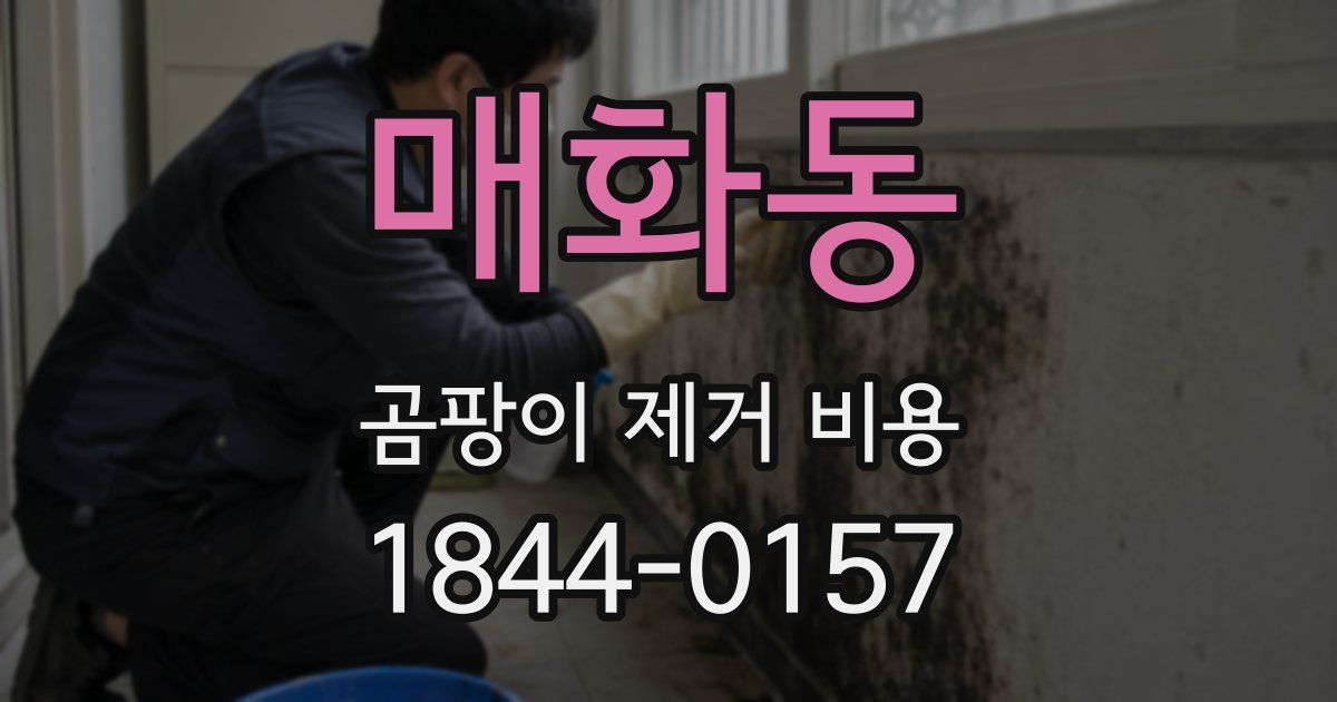 매화동 곰팡이 제거 비용