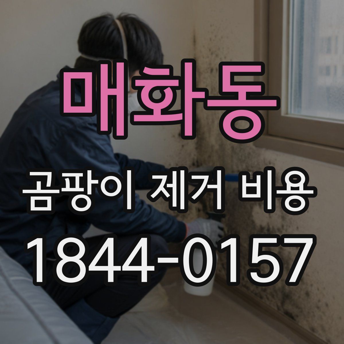 매화동 곰팡이 제거 비용
