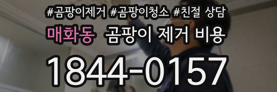 매화동 곰팡이 제거 비용