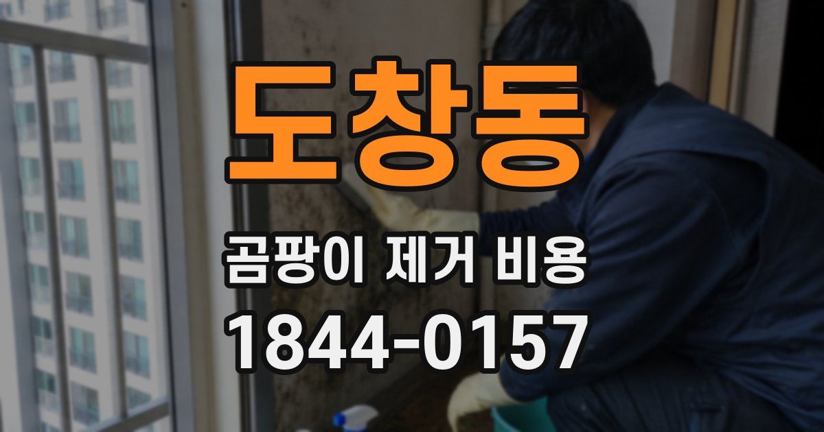 도창동 곰팡이 제거 비용